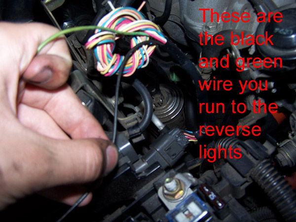 2006 Nissan sentra reverse lights #9