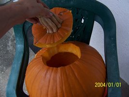 Pumpkin Top