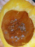 Pumpkin Guts