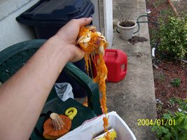 More Pumpkin Guts