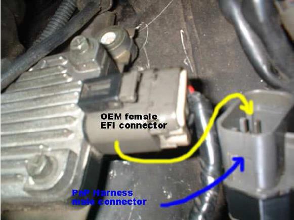 OEM female connector