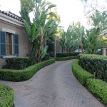 nissan360_pelican_hill_resort_029