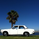 datsun_510_road_trip_129