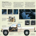 1989_Nissan_Hardbody (14)