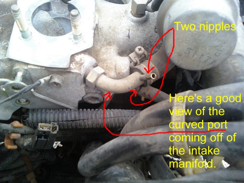 Nissan 720 Pickup Truck Vacuum Hose Routing