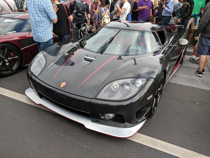 exotics-17