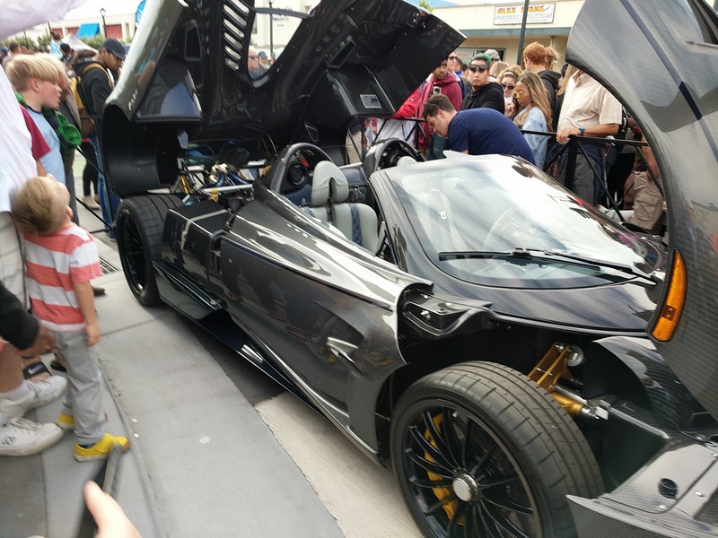 exotics-33