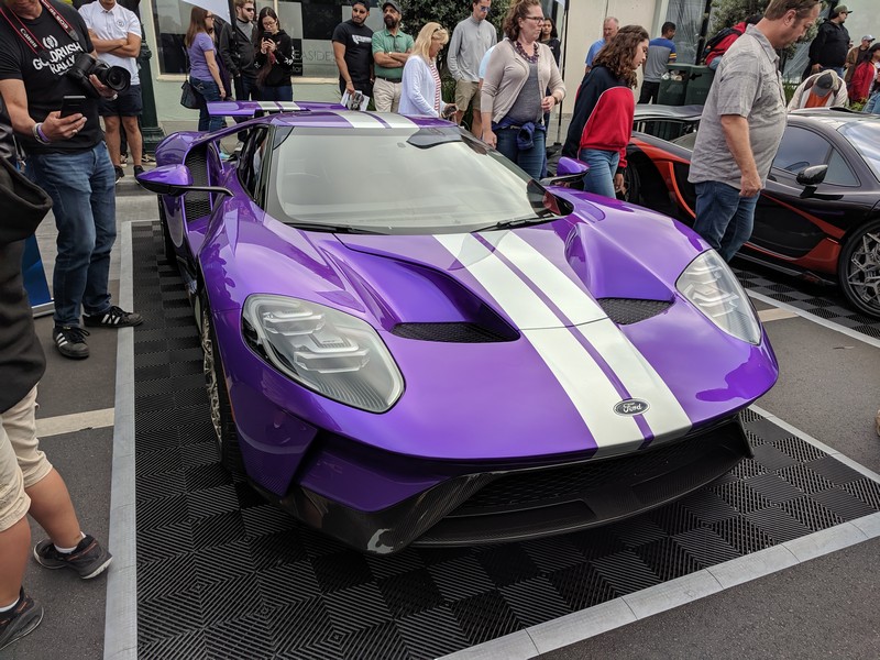 exotics-40
