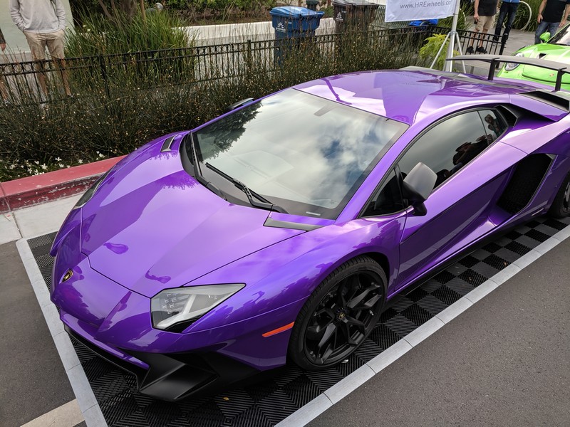 exotics-42