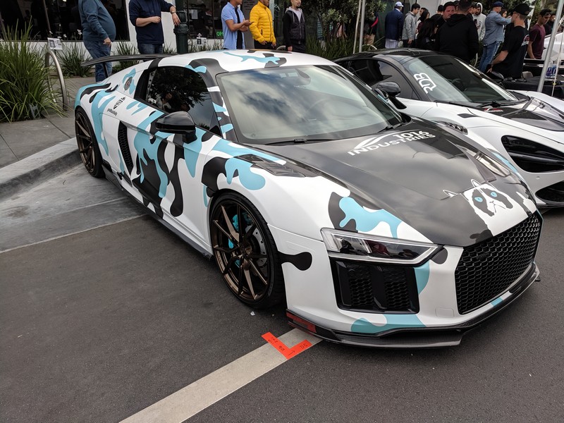 exotics-48