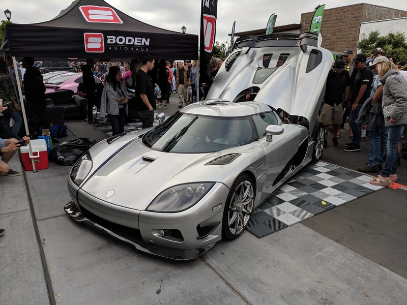 exotics-51
