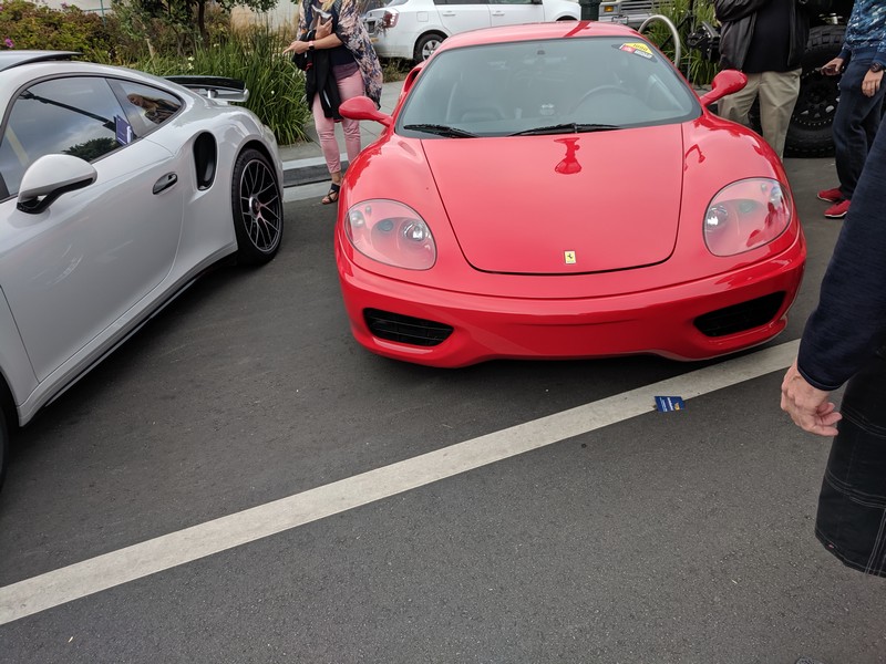 exotics-57
