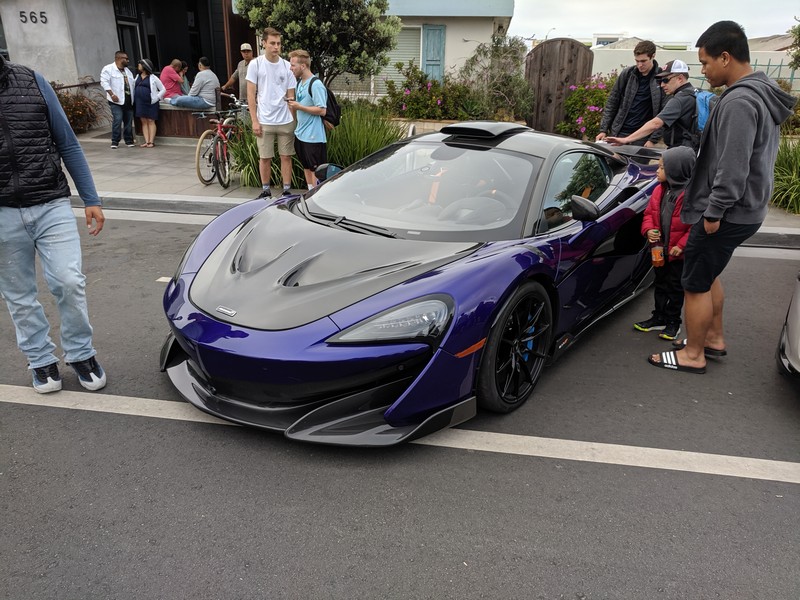 exotics-58