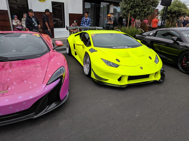 exotics-61