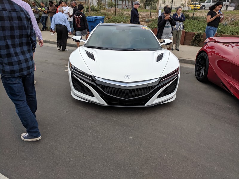 exotics-62