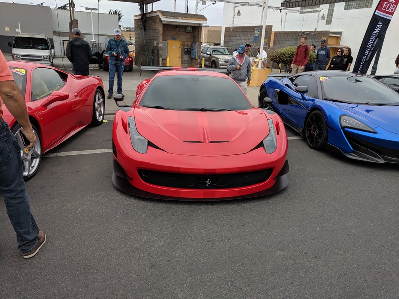 exotics-66