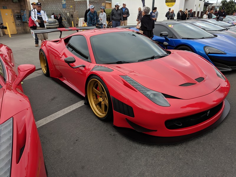 exotics-67