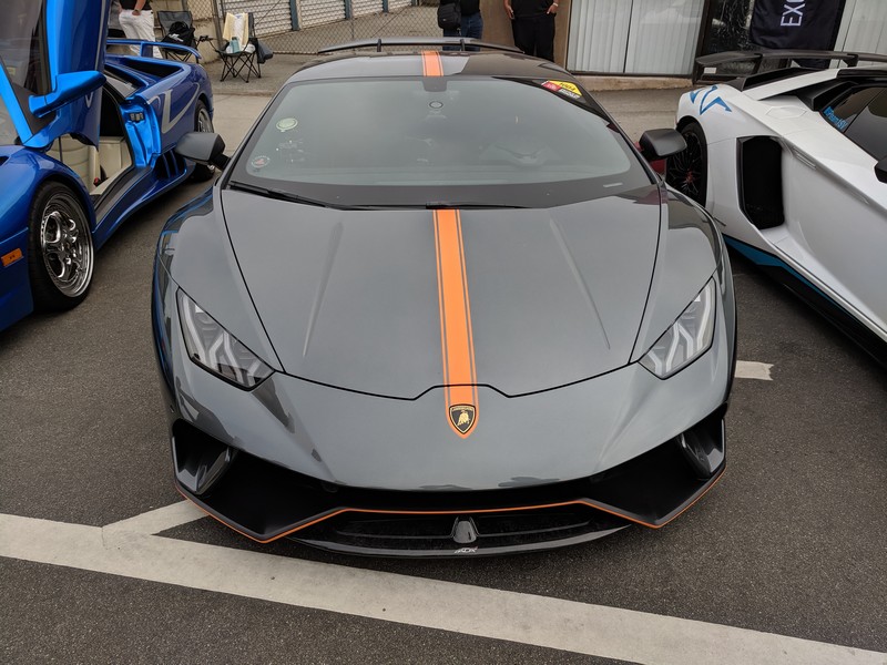exotics-68