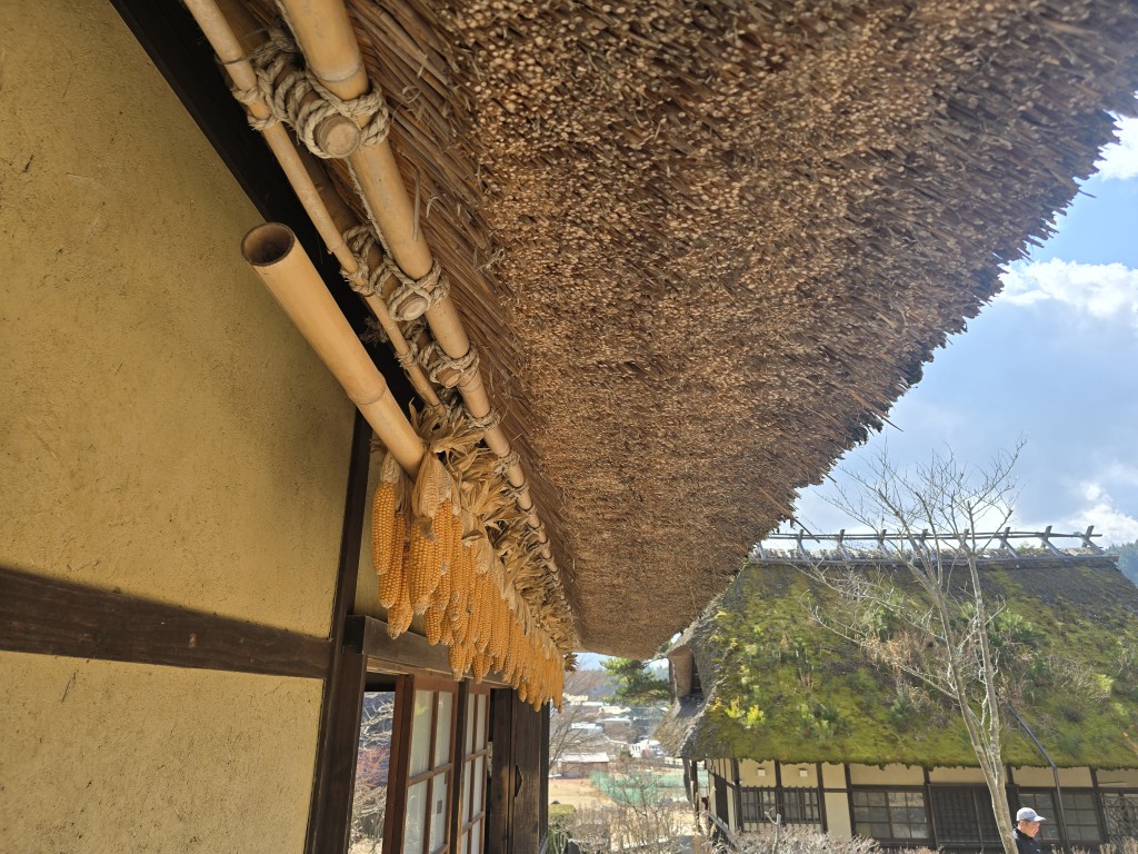 mt_fuji-31